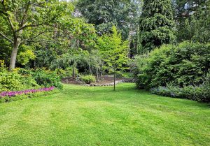 Optimiser l'expérience du jardin à Usson-en-Forez