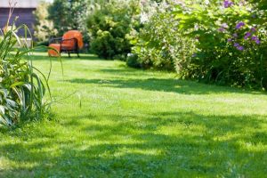 travaux jardin et paysage Usson-en-Forez